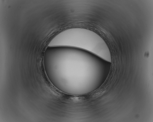 X0000090980558200708021144