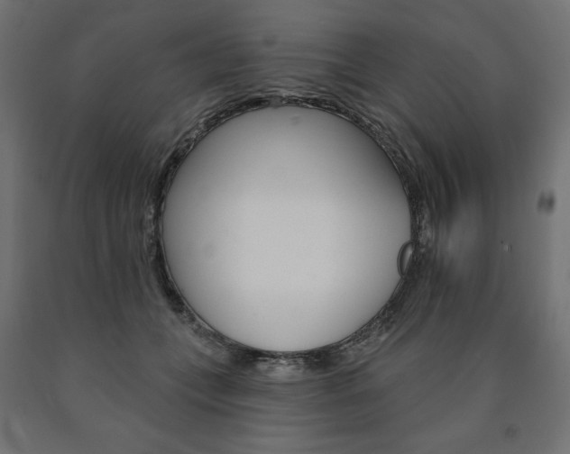 X0000090980559200708021144
