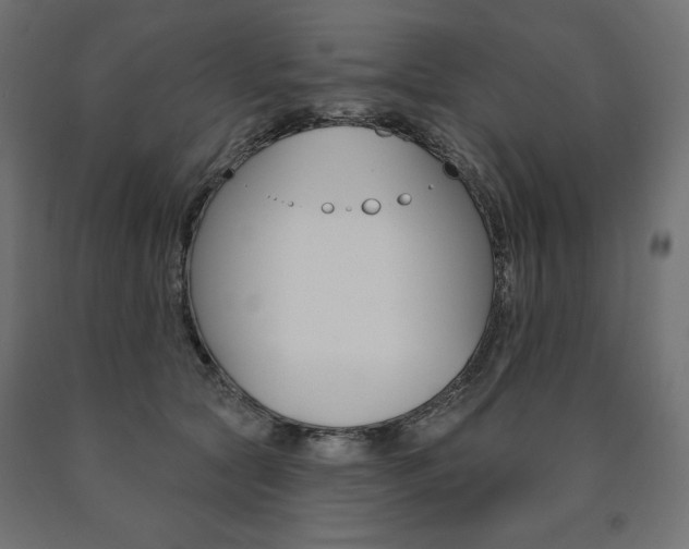 X0000090980561200708021144