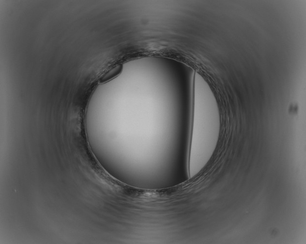 X0000090980562200708021144
