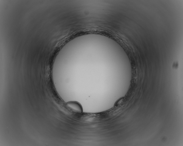 X0000090980563200708021144