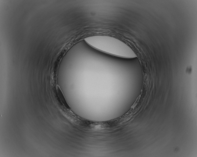X0000090980564200708021144