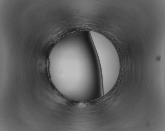 X0000090980566200708021144