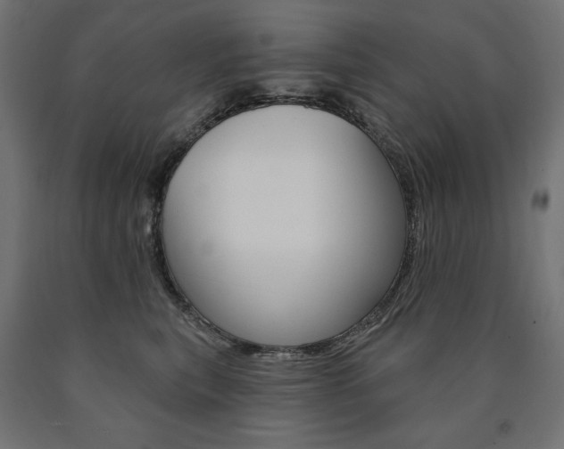 X0000090980567200708021144