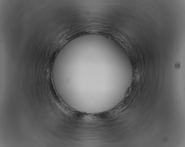 X0000090980568200708021144