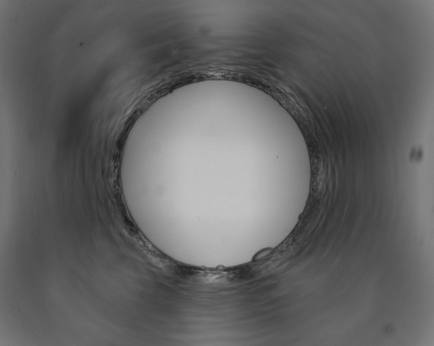 X0000090980569200708021144