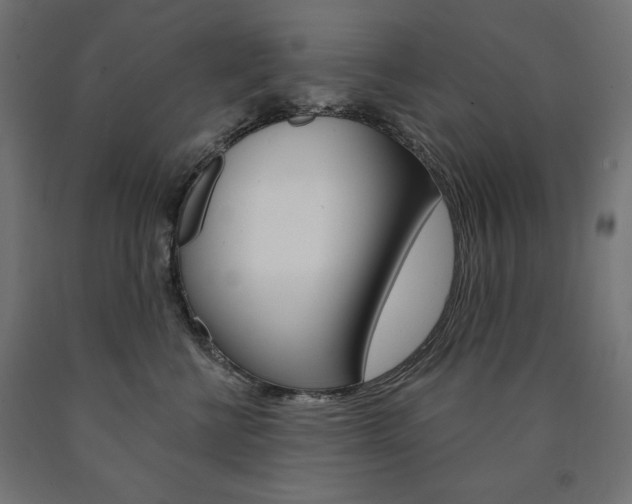 X0000090980570200708021144