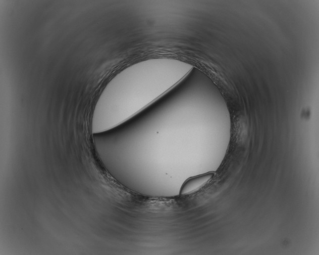 X0000090980571200708021144
