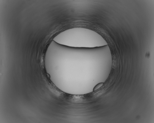 X0000090980573200708021144