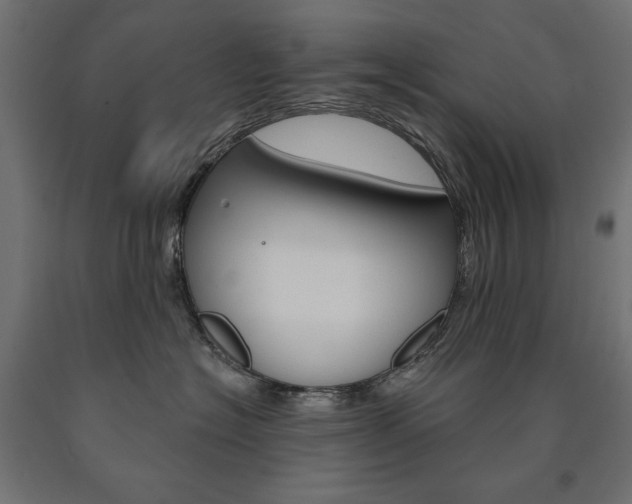X0000090980574200708021144