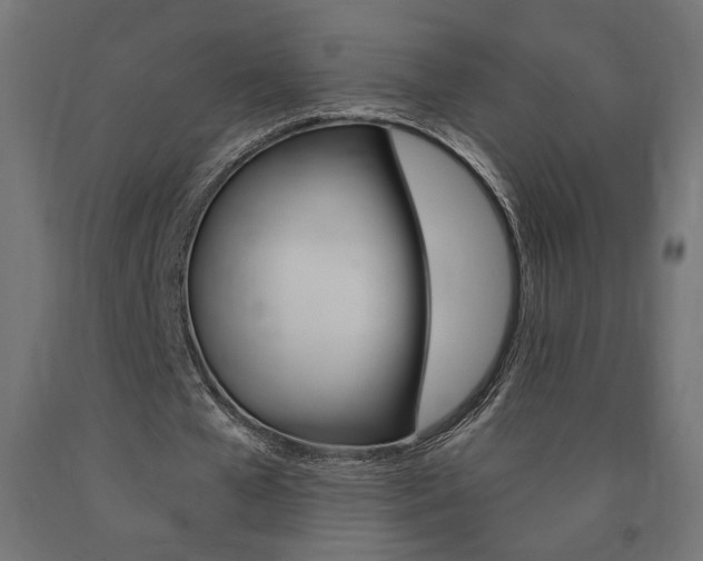 X0000090980577200708021143