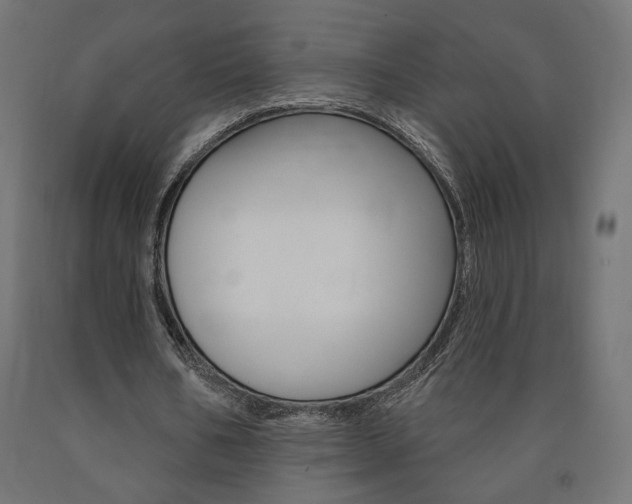 X0000090980578200708021143