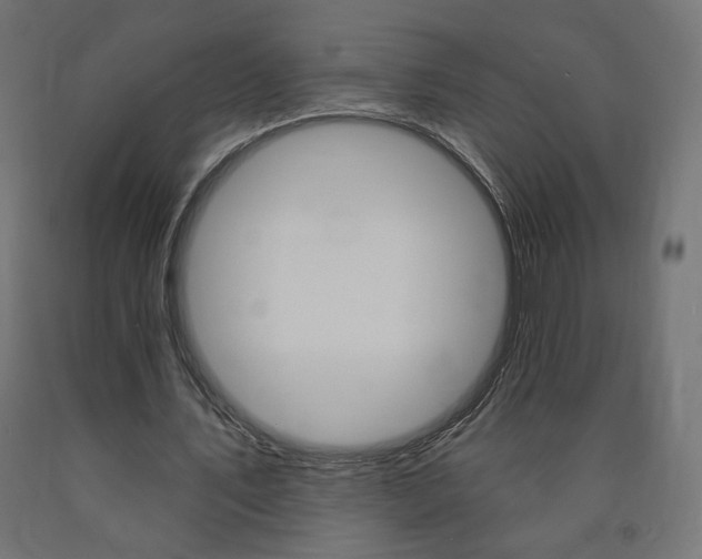 X0000090980579200708021143