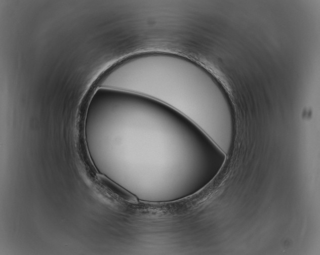 X0000090980580200708021143