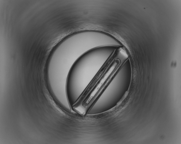 X0000090980581200708021143