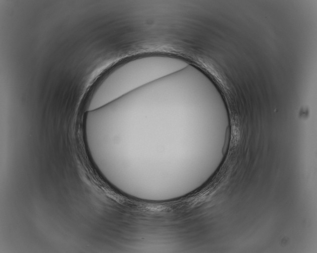 X0000090980583200708021143