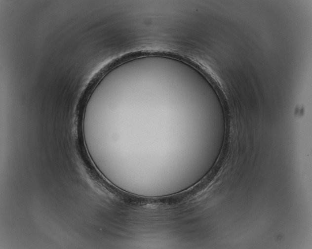 X0000090980584200708021143