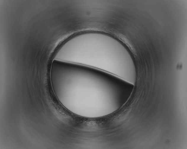X0000090980588200708021143