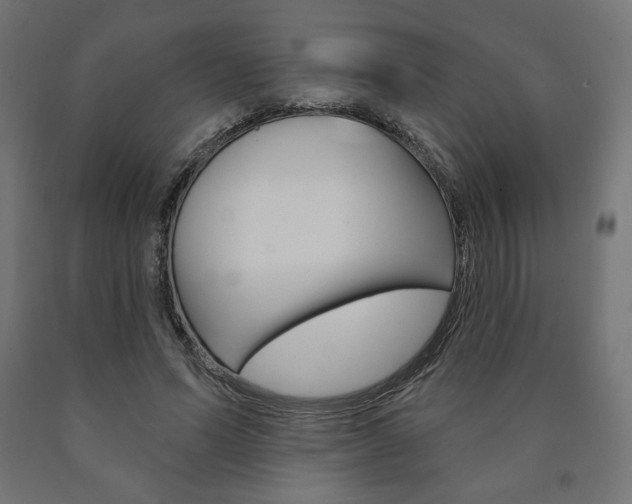 X0000090980591200708021143