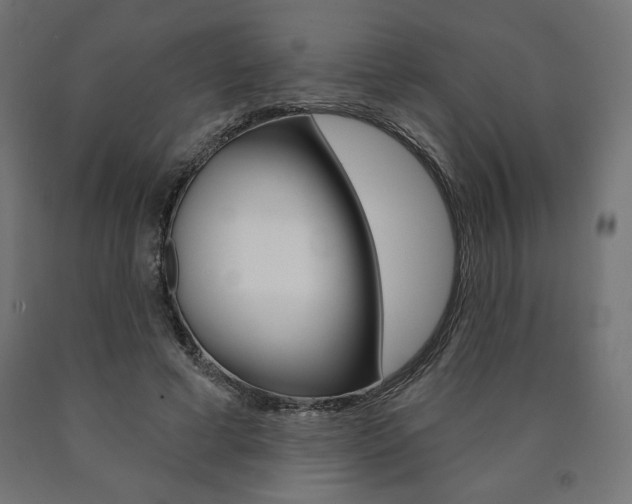 X0000090980593200708021143