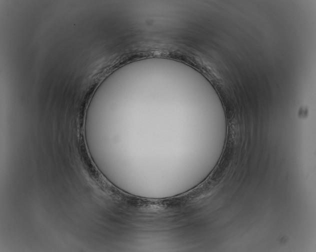 X0000090980594200708021143