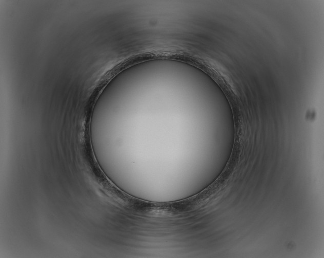 X0000090980596200708021143