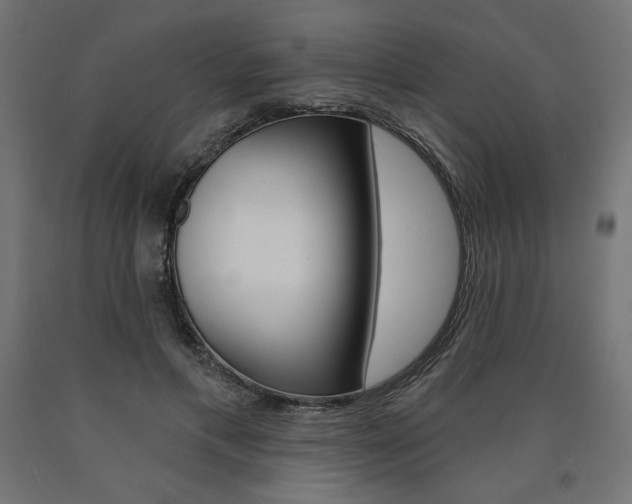 X0000090980597200708021143