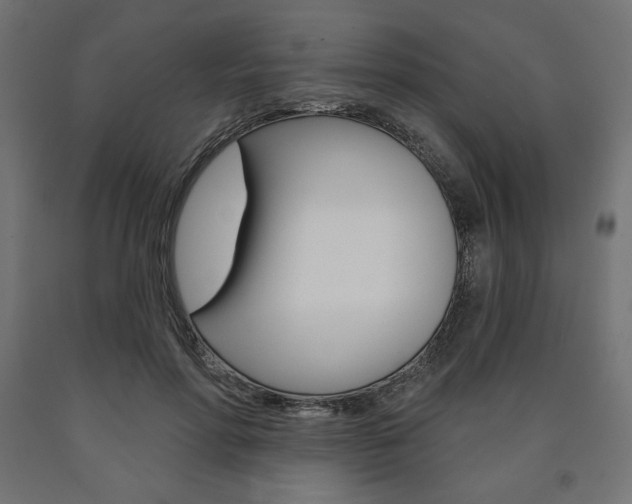 X0000090980598200708021143