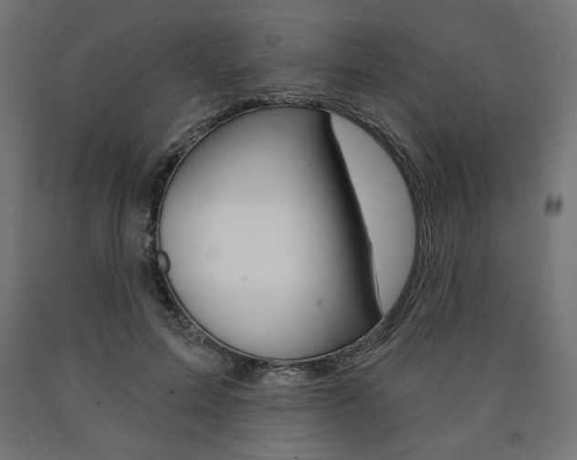 X0000090980599200708021143