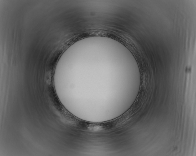 X0000090980602200708021143