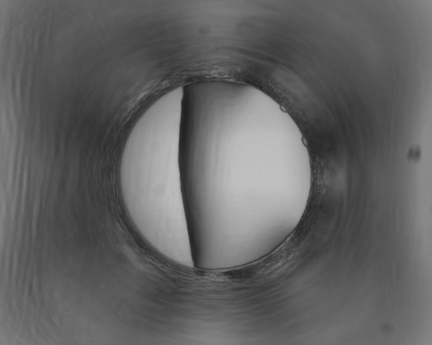 X0000090980603200708021143