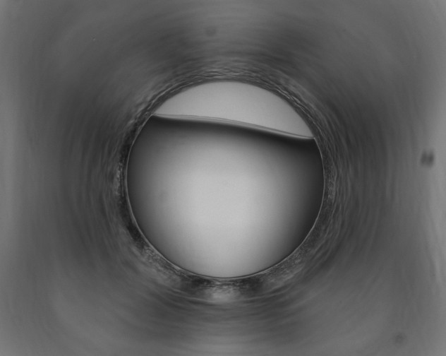 X0000090980604200708021143