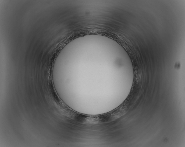 X0000090980606200708021143