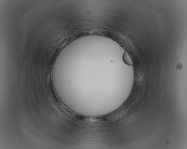 X0000090980607200708021143