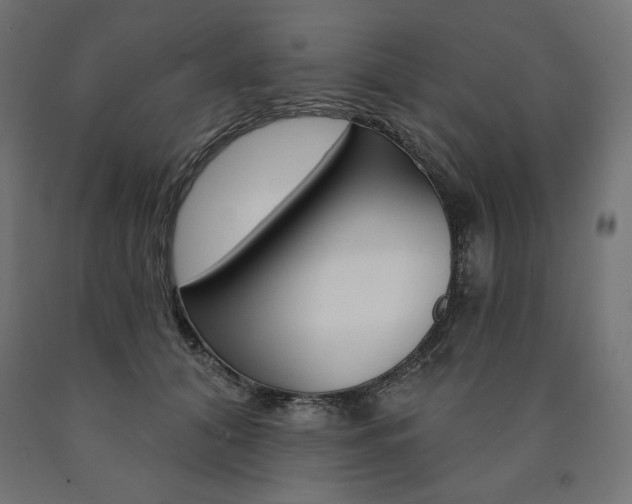 X0000090980608200708021143