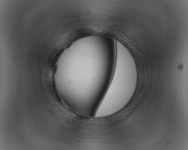X0000090980613200708021143