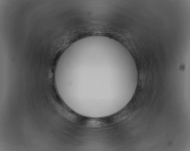X0000090980614200708021143