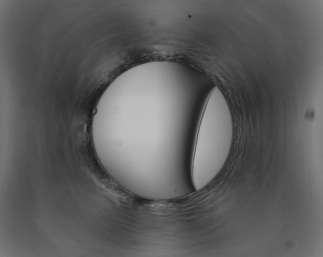 X0000090980615200708021143