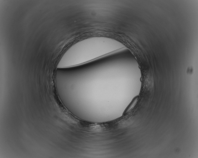 X0000090980616200708021143