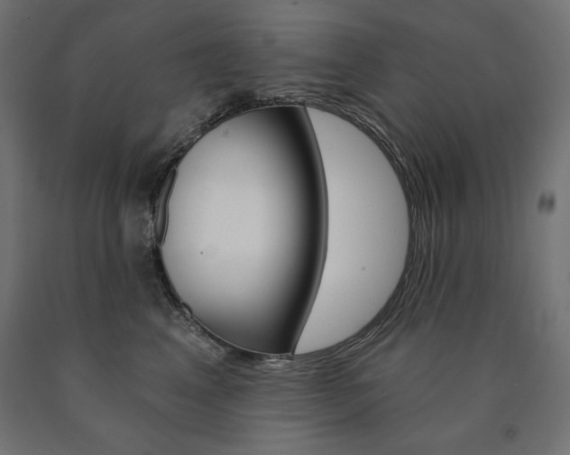 X0000090980617200708021143