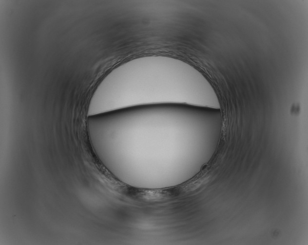 X0000090980623200708021143