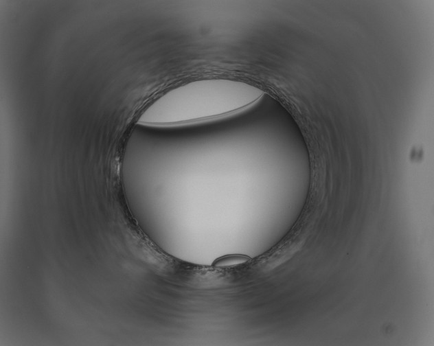 X0000090980624200708021143