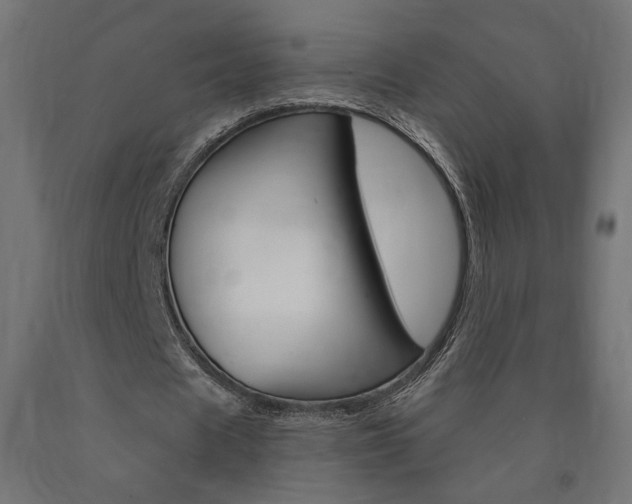 X0000090980625200708021142