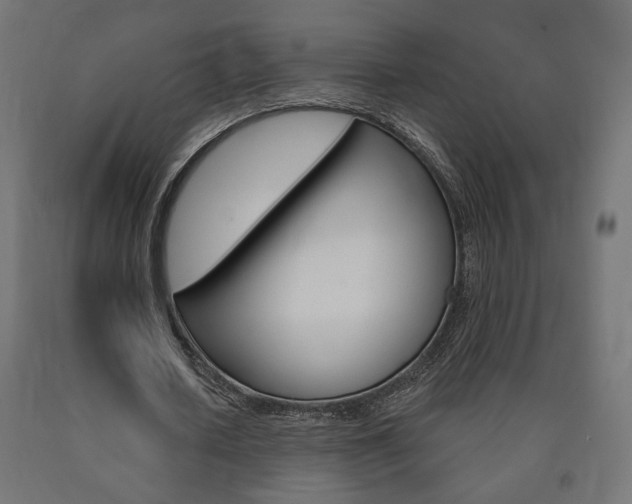 X0000090980626200708021142