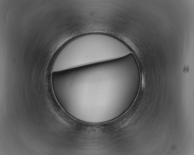 X0000090980627200708021142