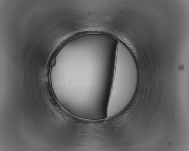 X0000090980628200708021142