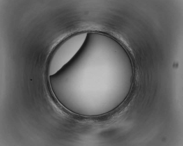 X0000090980629200708021142