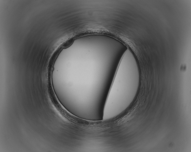 X0000090980630200708021142