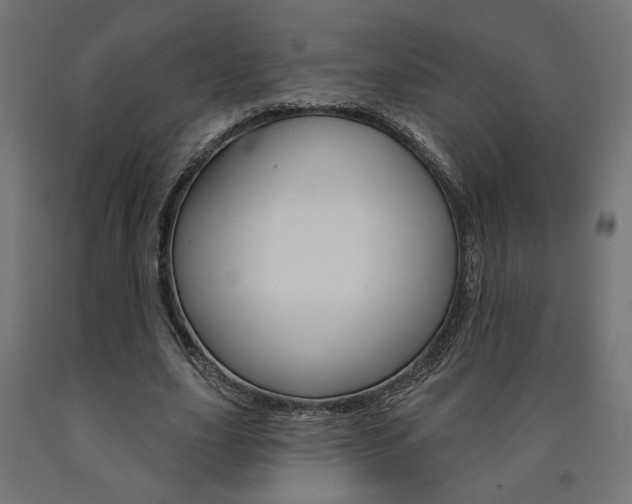 X0000090980631200708021142