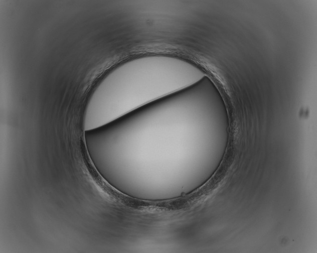X0000090980633200708021142